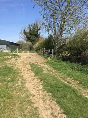 Photo 2- click for photo gallery